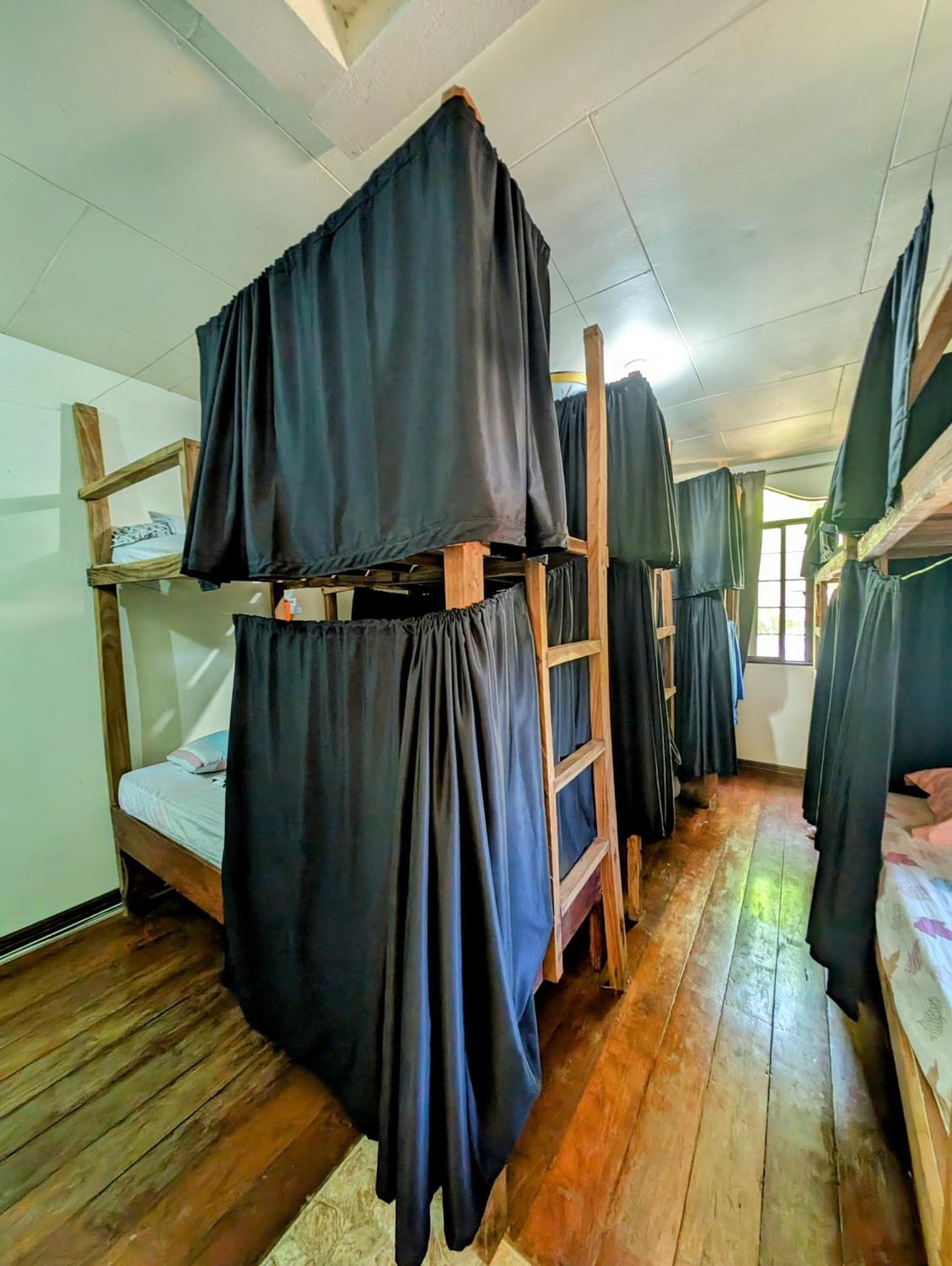 Screaming Gecko Hostel Бусуанга Экстерьер фото